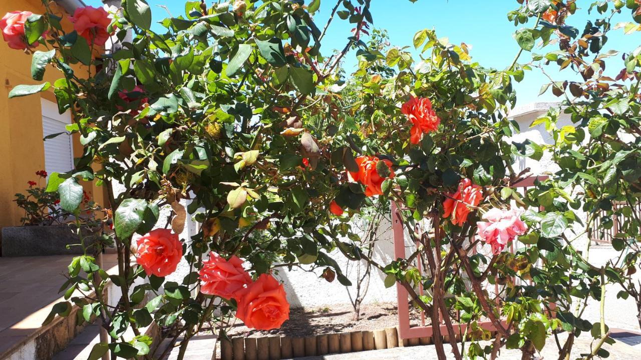 Casa Els Rosers Wifi L' Escala 외부 사진